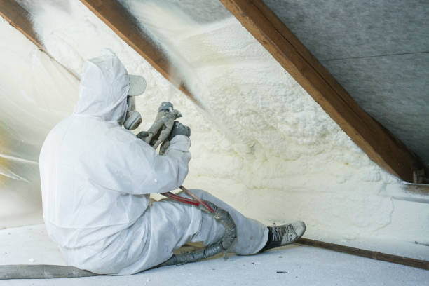 Best Wall Insulation Installation  in Port Hueneme, CA